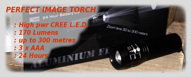 Perfect Image Cree torch